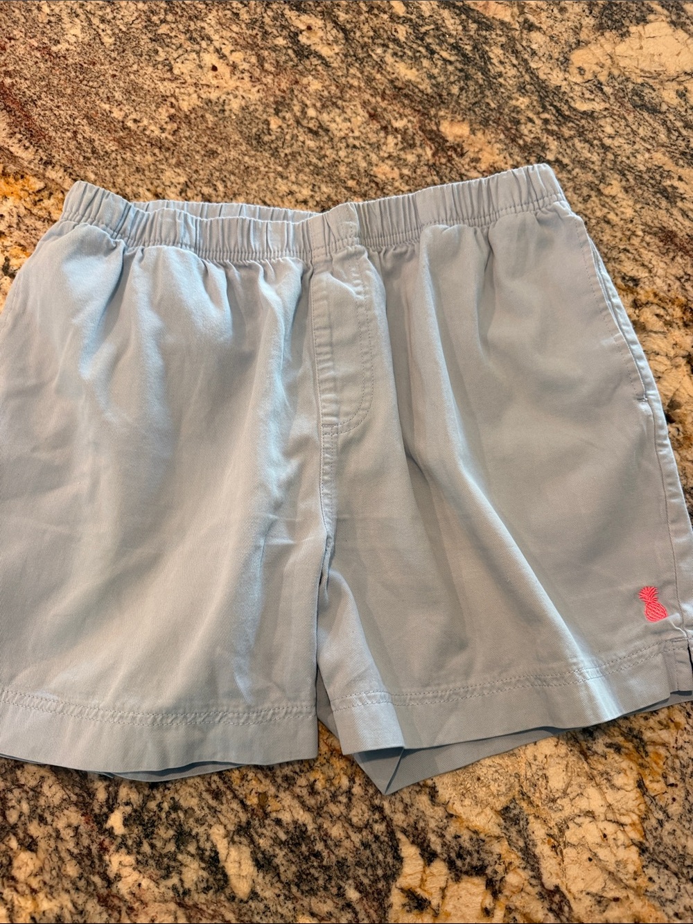 Chubbies | Dad Easy Short | Medium